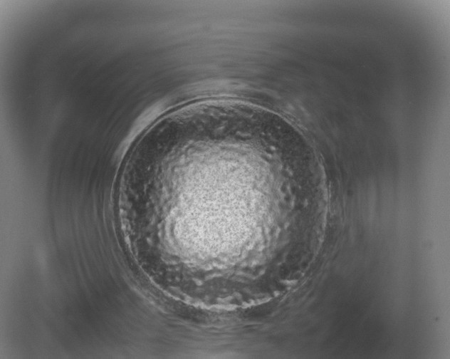 X0000081350099200701182057