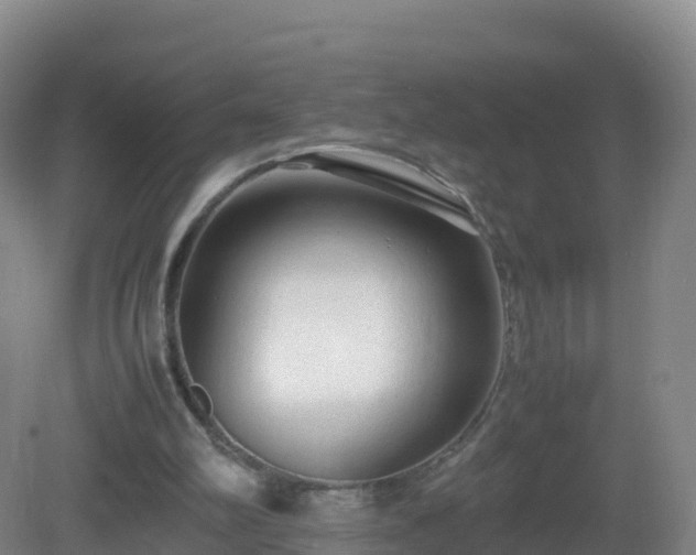 X0000081350102200701182057