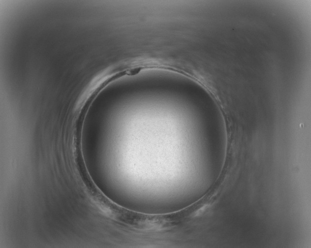 X0000081350103200701182057