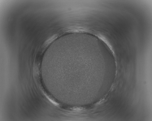 X0000081350105200701182057