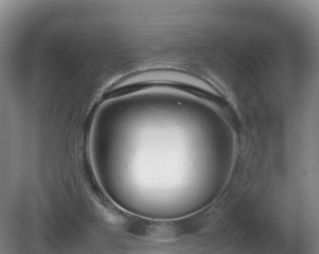X0000081350107200701182057