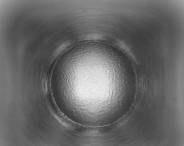 X0000081350110200701182057