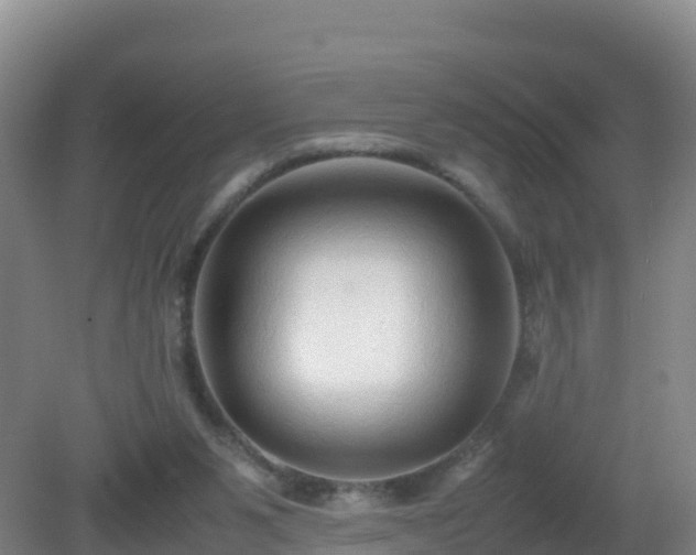 X0000081350111200701182057