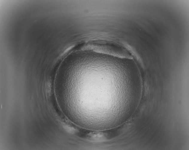 X0000081350113200701182057