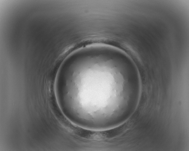 X0000081350115200701182057