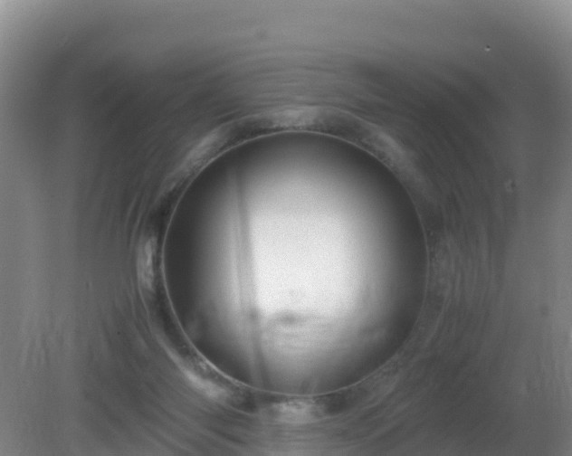 X0000081350118200701182057