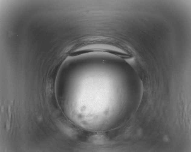 X0000081350119200701182057