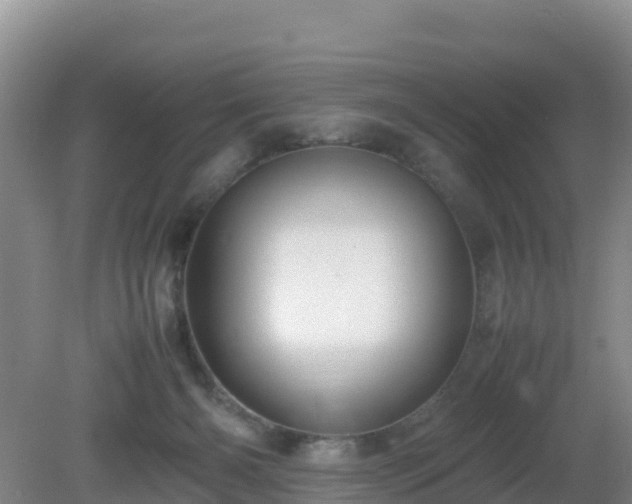 X0000081350126200701182057