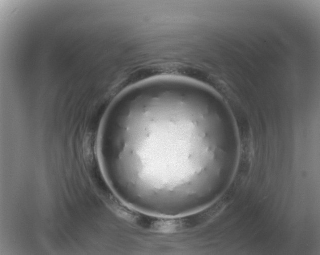X0000081350131200701182056