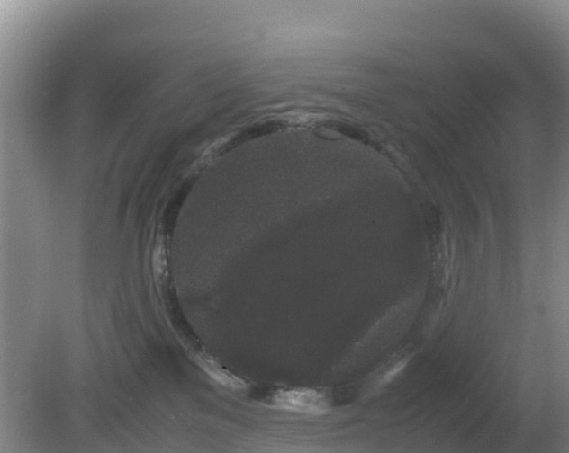 X0000081350137200701182056