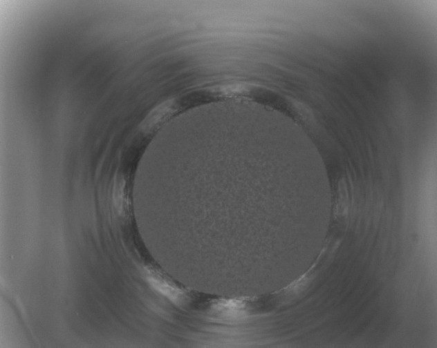 X0000081350140200701182056