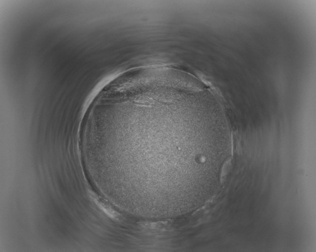 X0000081350147200701182055