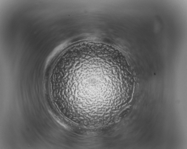 X0000081350149200701182056