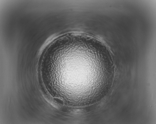 X0000081350151200701182056
