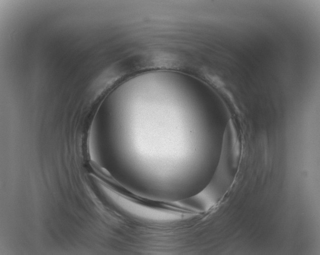 X0000081350154200701182056