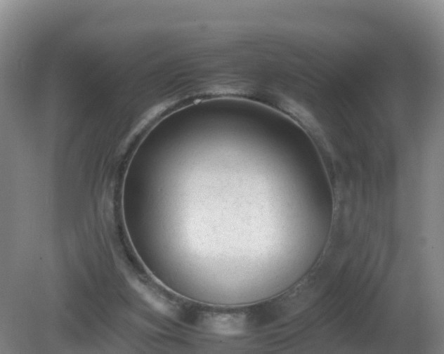 X0000081350155200701182056