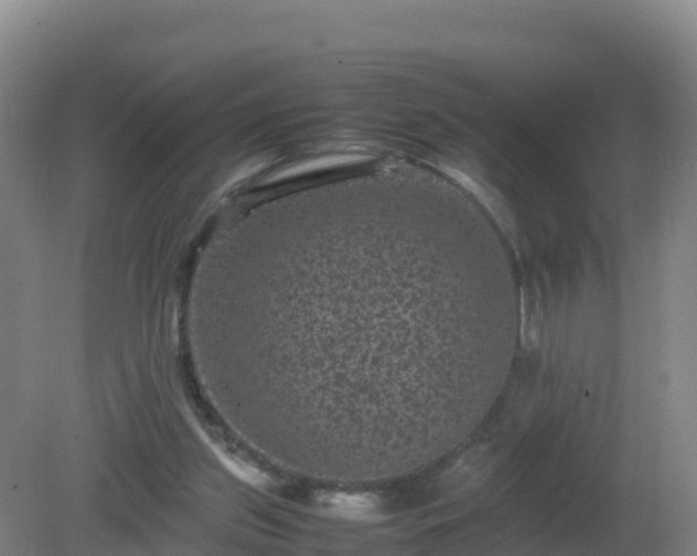 X0000081350157200701182056