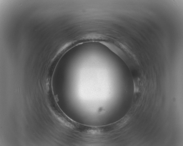 X0000081350160200701182056