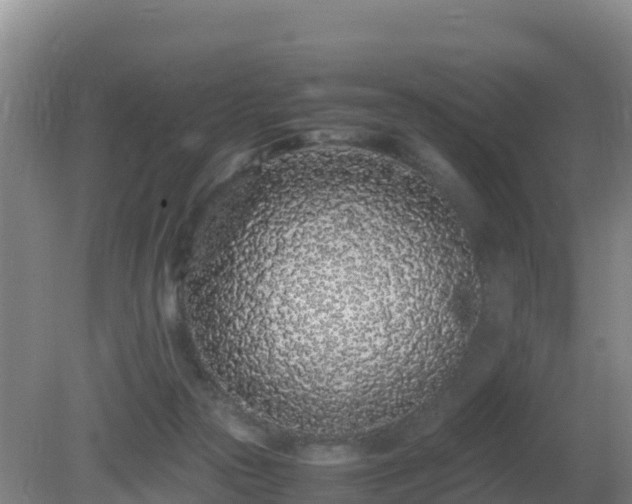 X0000081350169200701182056
