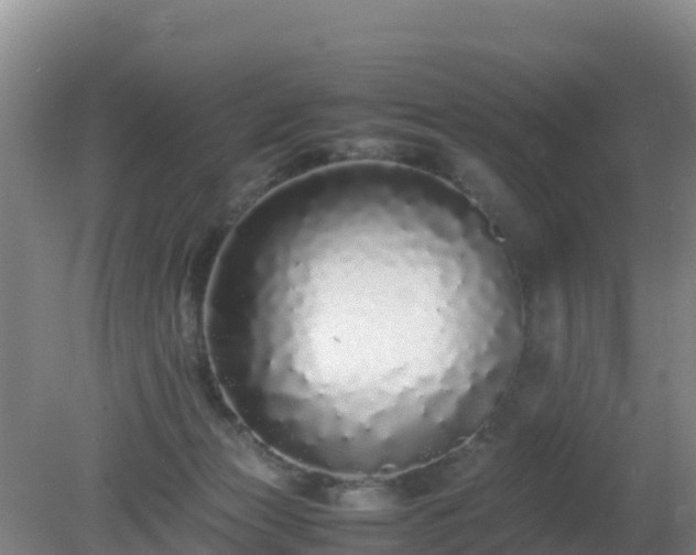 X0000081350173200701182056