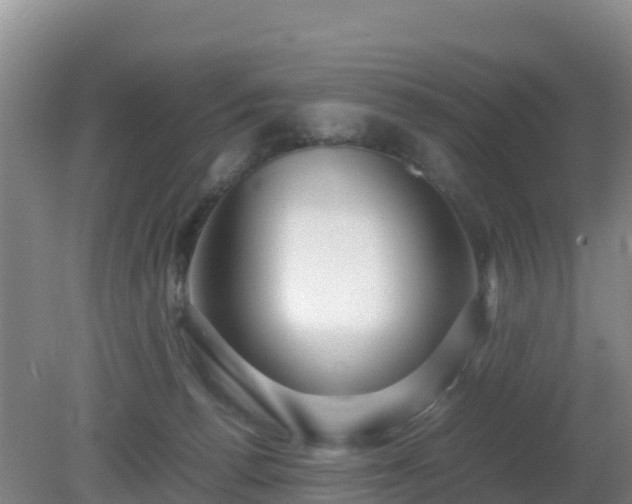 X0000081350176200701182056