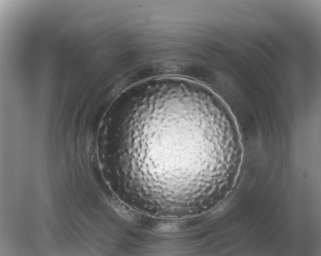 X0000081350178200701182056