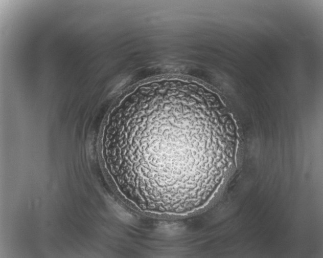 X0000081350185200701182056