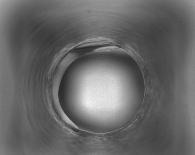 X0000081350193200701182055