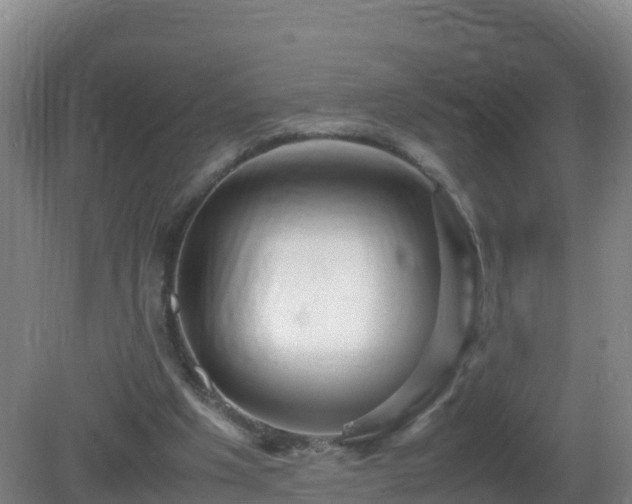 X0000081350201200701182055