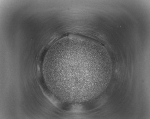 X0000081350214200701182055