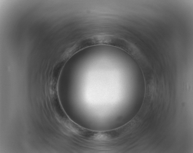 X0000081350218200701182055