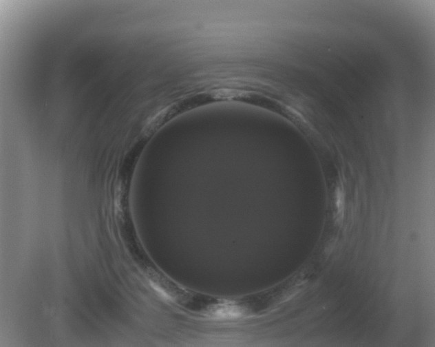 X0000081350219200701182055
