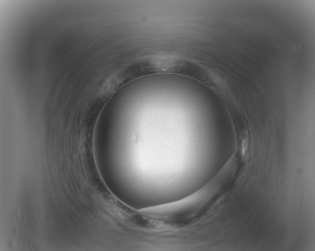 X0000081350221200701182055