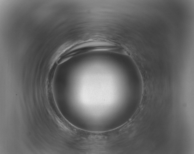 X0000081350242200701182054