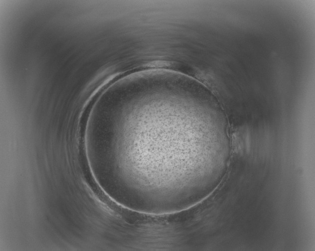 X0000081350243200701182054