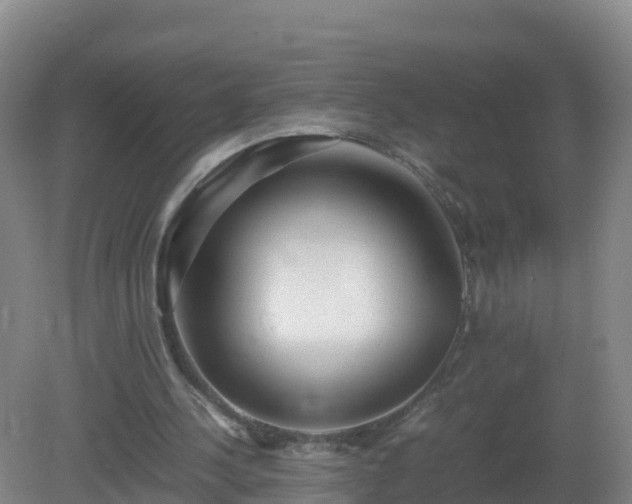 X0000081350244200701182054