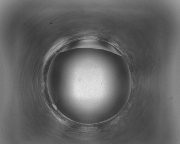 X0000081350245200701182054