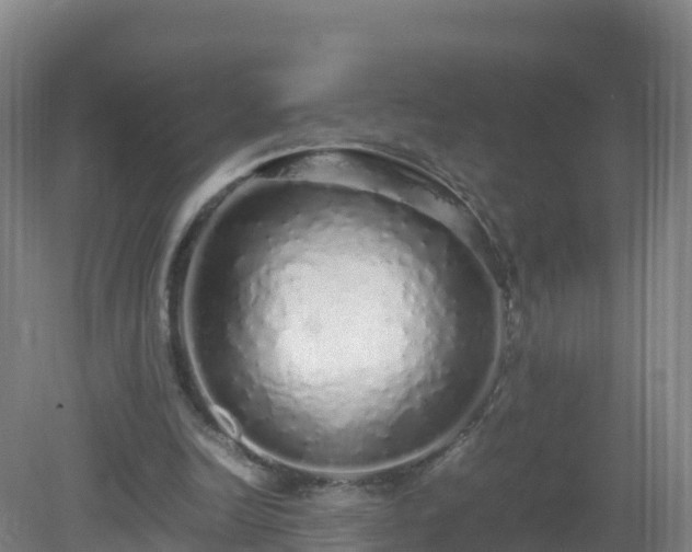 X0000081350246200701182054