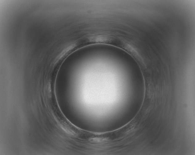 X0000081350251200701182054