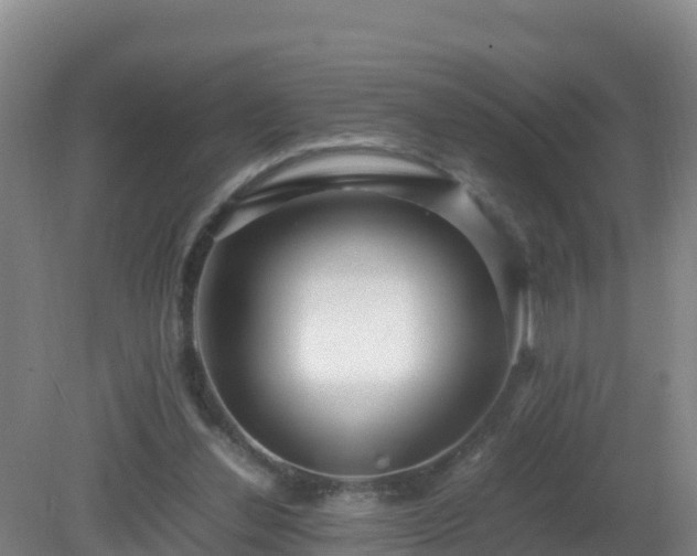 X0000081350252200701182054