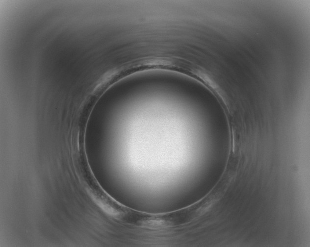 X0000081350253200701182054