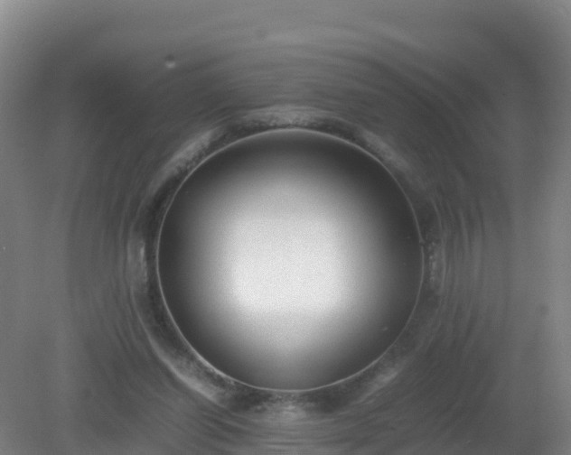 X0000081350254200701182054