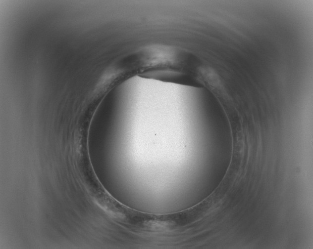 X0000081350255200701182054