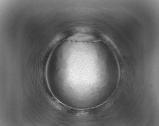 X0000081350257200701182054
