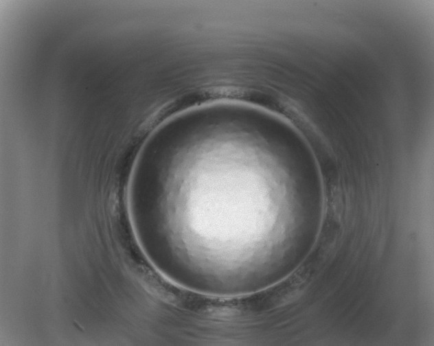 X0000081350259200701182054