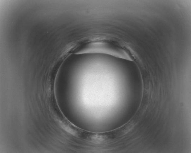 X0000081350261200701182054