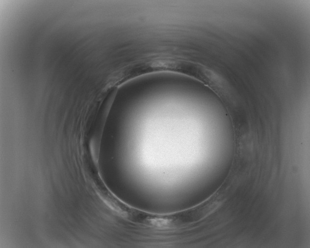 X0000081350265200701182054