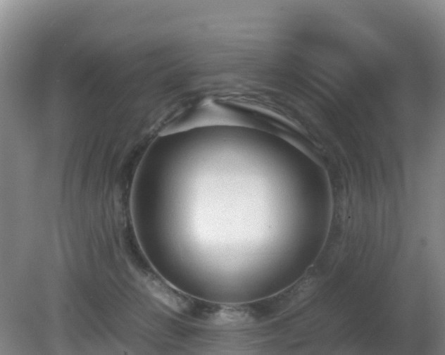 X0000081350270200701182054