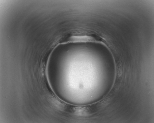 X0000081350273200701182054