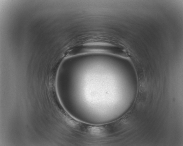 X0000081350277200701182054